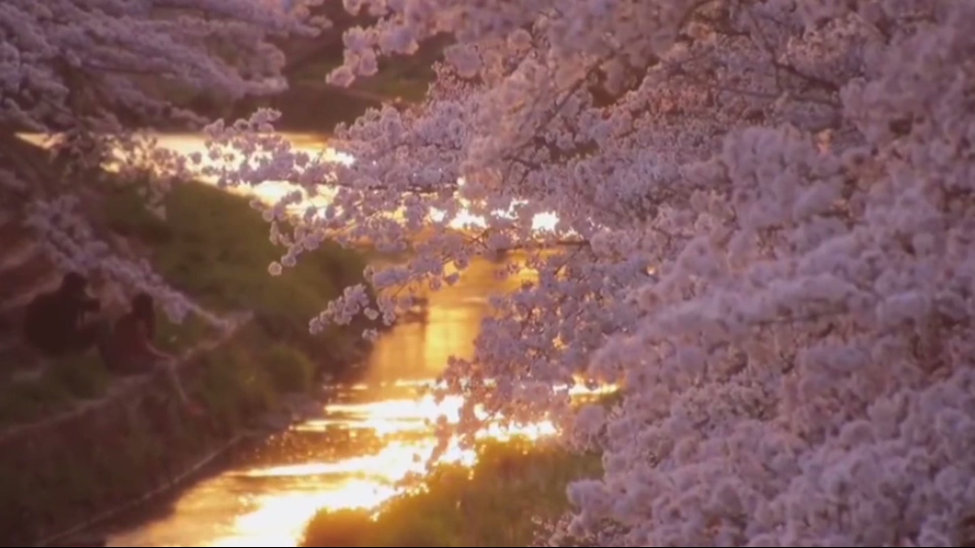 Still from Go Where It Heals You