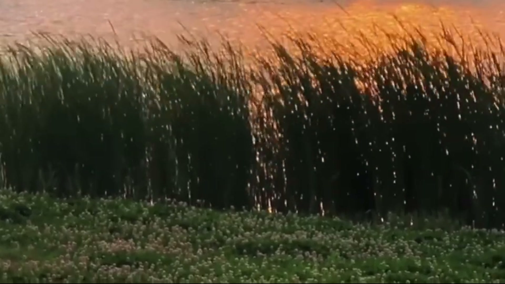 Still from Wind Talks Back