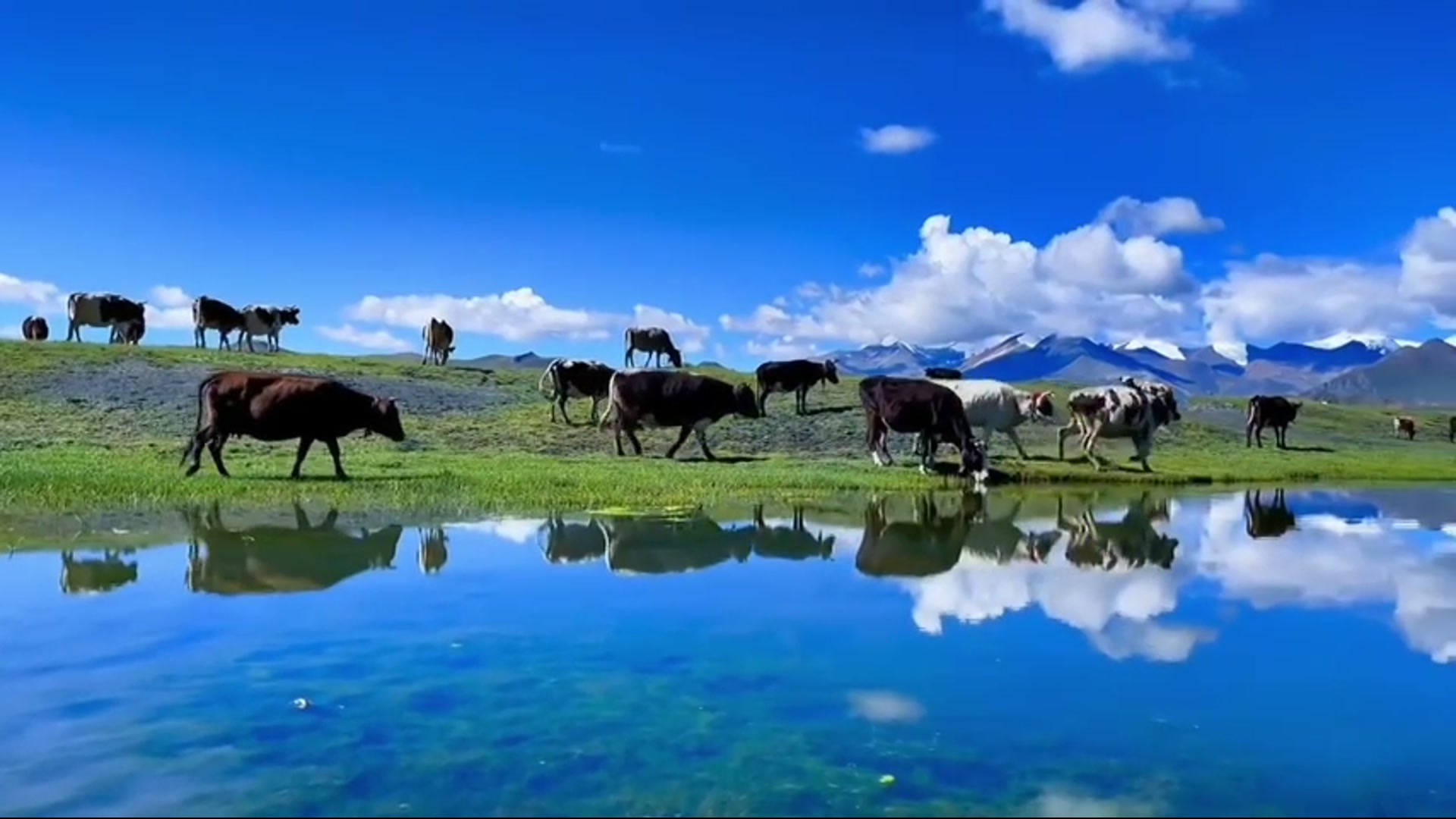 Still from Farther Than the Mountains