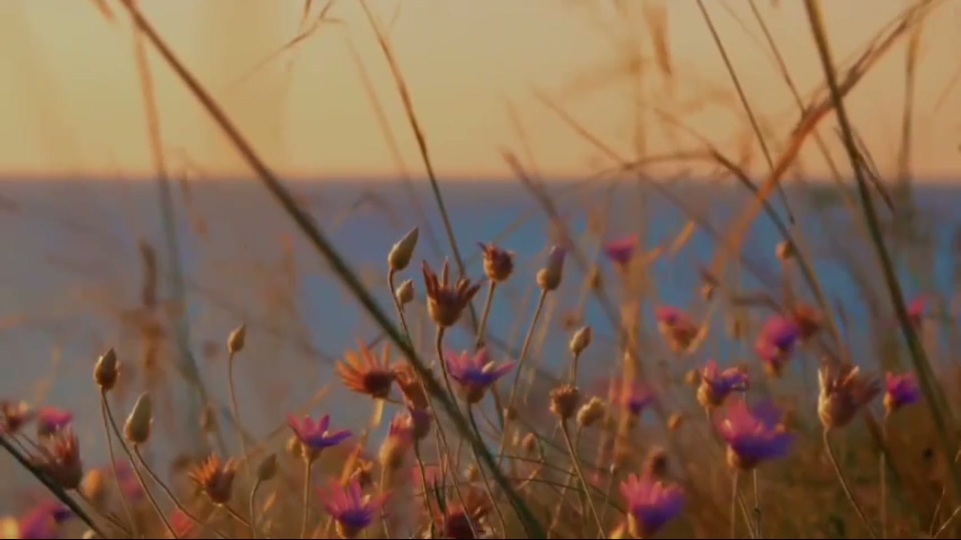 Still from Rain on Green Grass