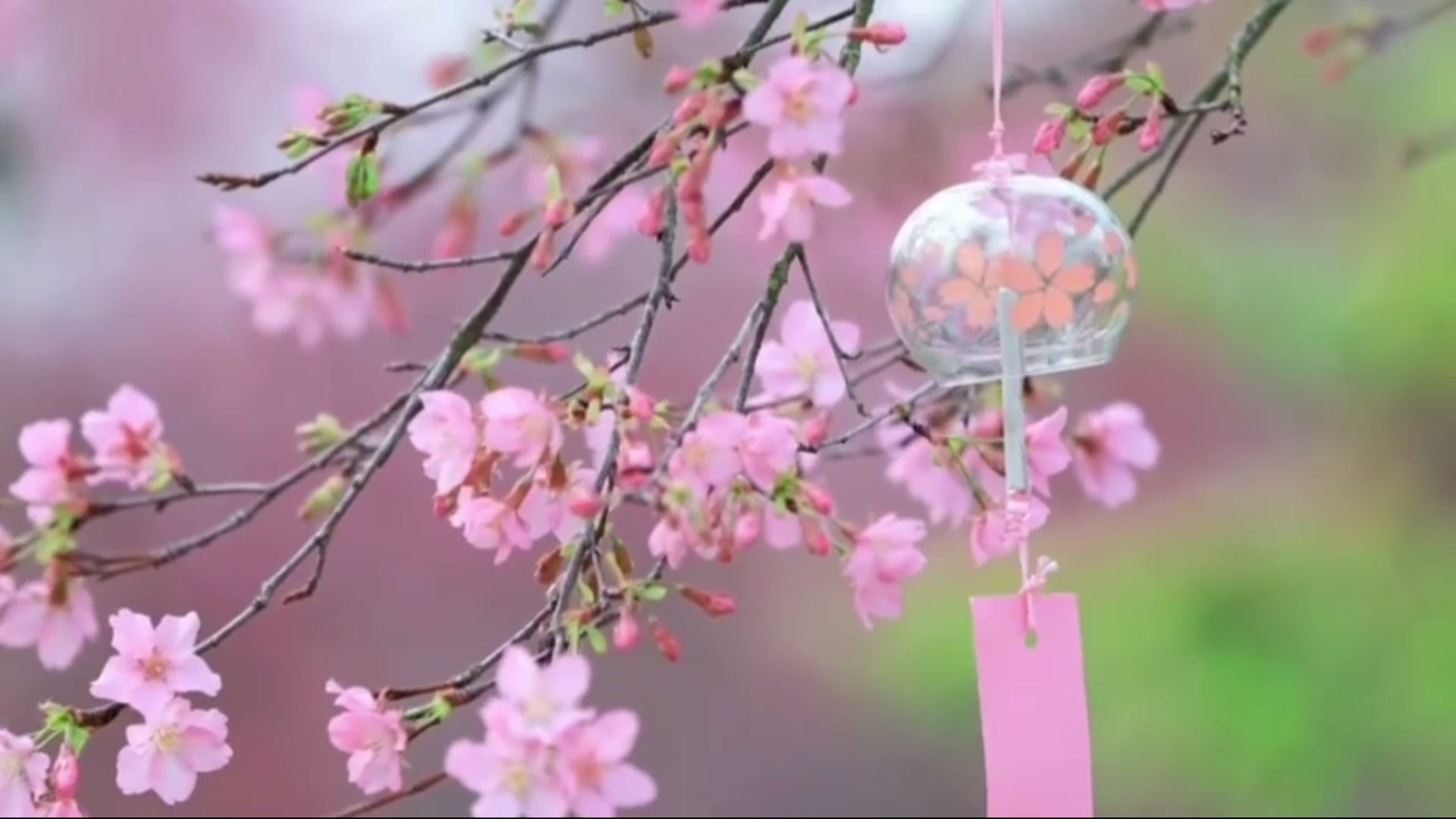 Still from Spring Shows Up